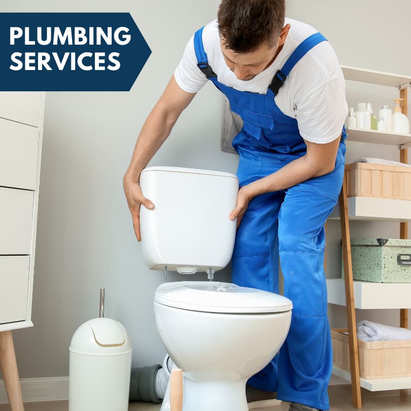 Plumbing Company in Cross Timbers, MO